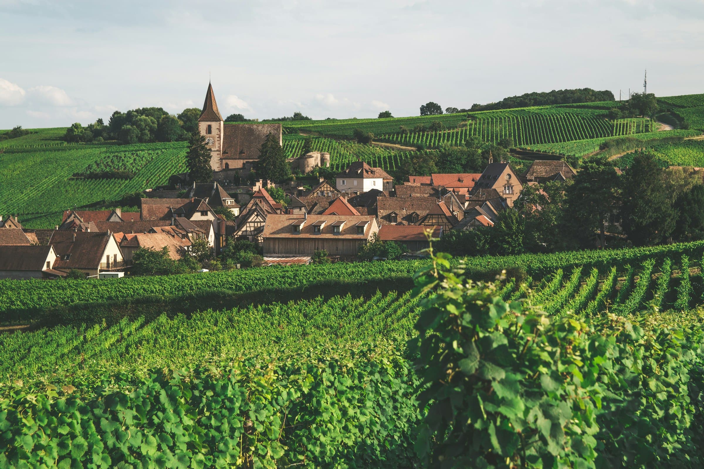Un village serré au creux du vignoble : une église à clocher pointu, son cadran et une tour ronde de rempart sur la hauteur, des toits de tuiles rousses et plusieurs maisons à pans de bois en contrebas, une grange de bois sombre au milieu, et des rangs de vigne couvrant toutes les pentes alentour jusqu’aux bois, sous un ciel pâle de nuages blancs