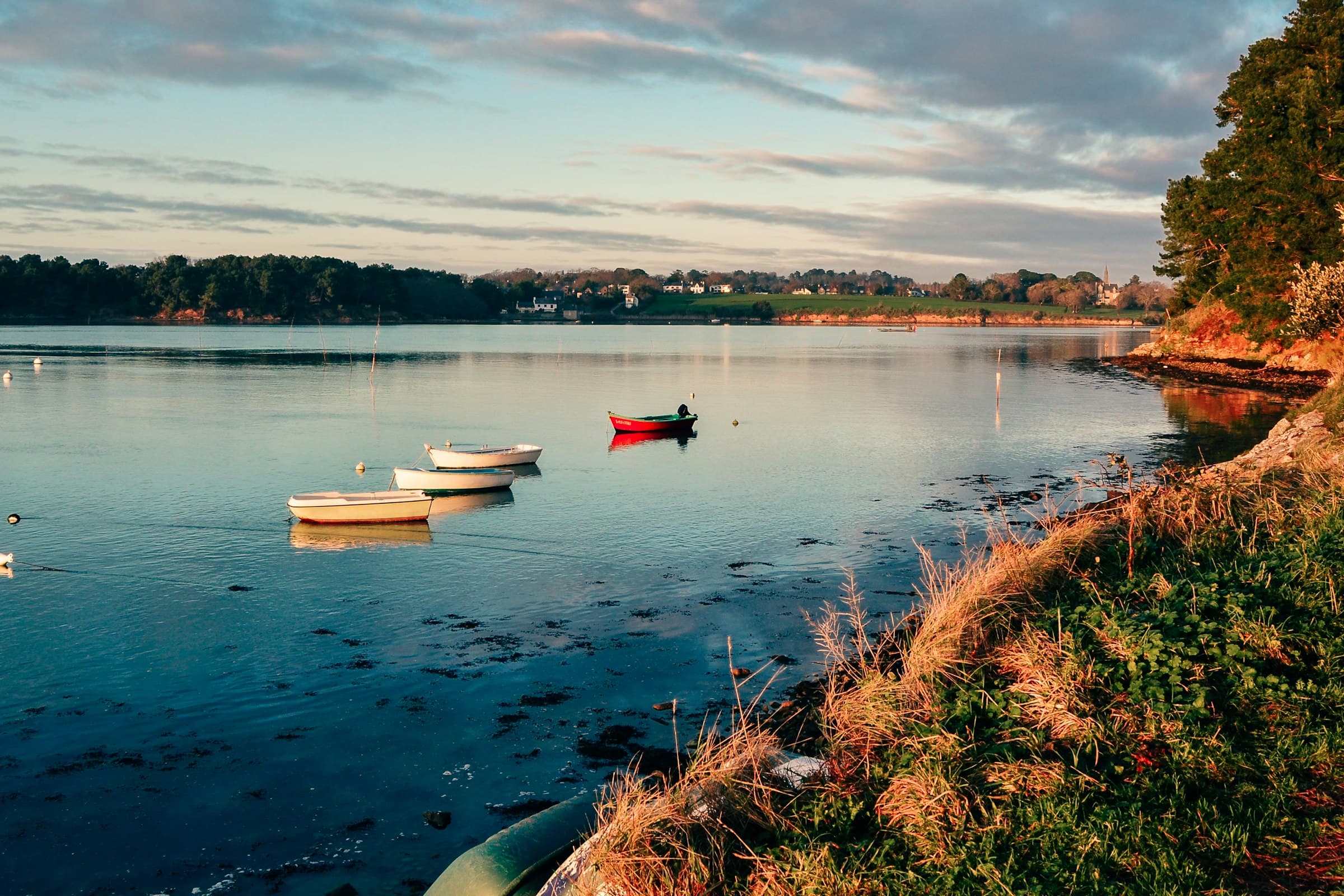 Des barques blanches et une barque rouge au mouillage sur une eau étale, l’herbe rousse de la berge au premier plan à droite, un bois de pins, des maisons blanches et un clocher pointu sur la rive d’en face, dans une lumière basse et dorée