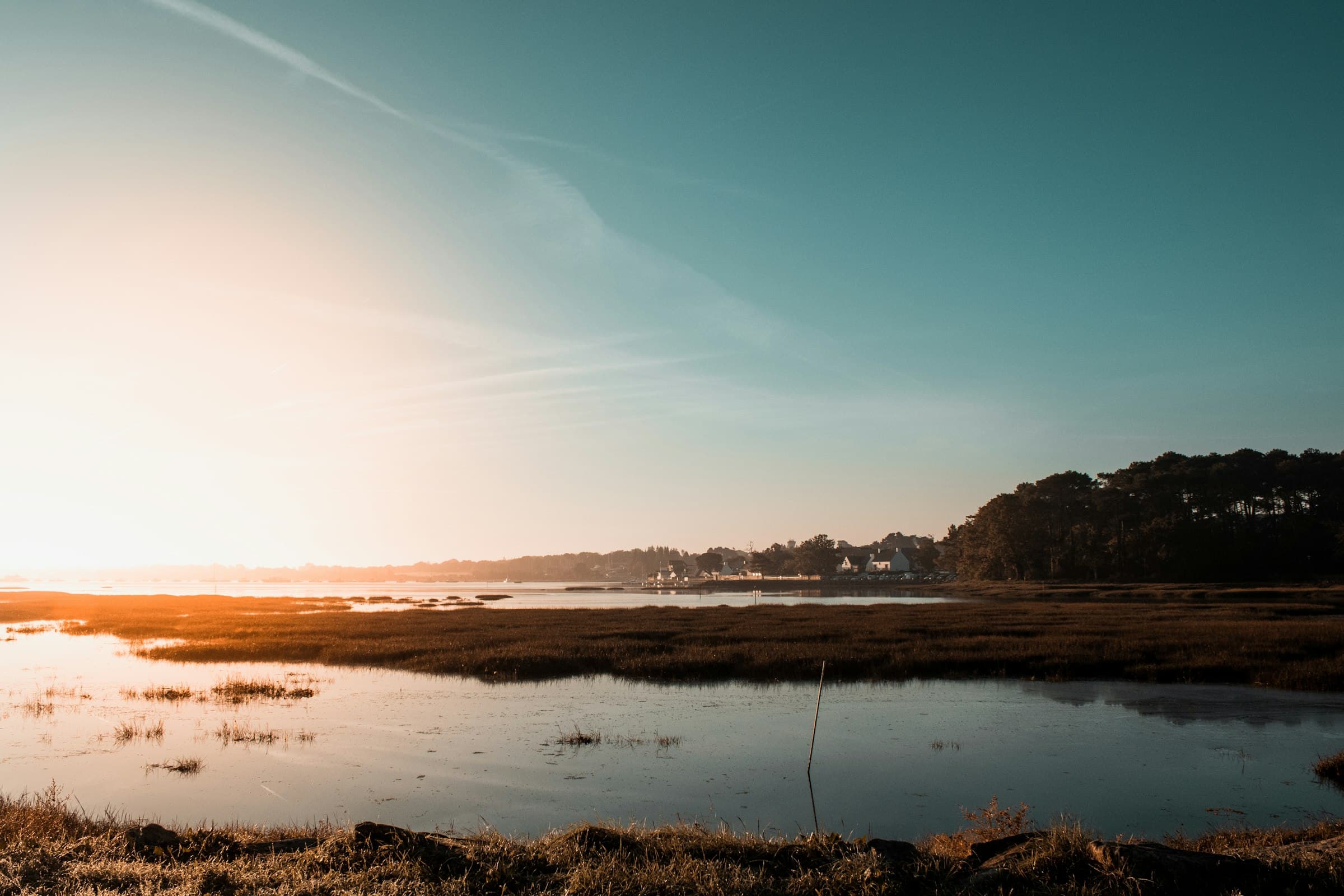 Un marais littoral à marée basse : l’eau plate court entre des herbes rousses, une pointe couverte de pins ferme la rive à droite, quelques maisons blanches se détachent au fond et le soleil bas noie la gauche du cadre dans un halo