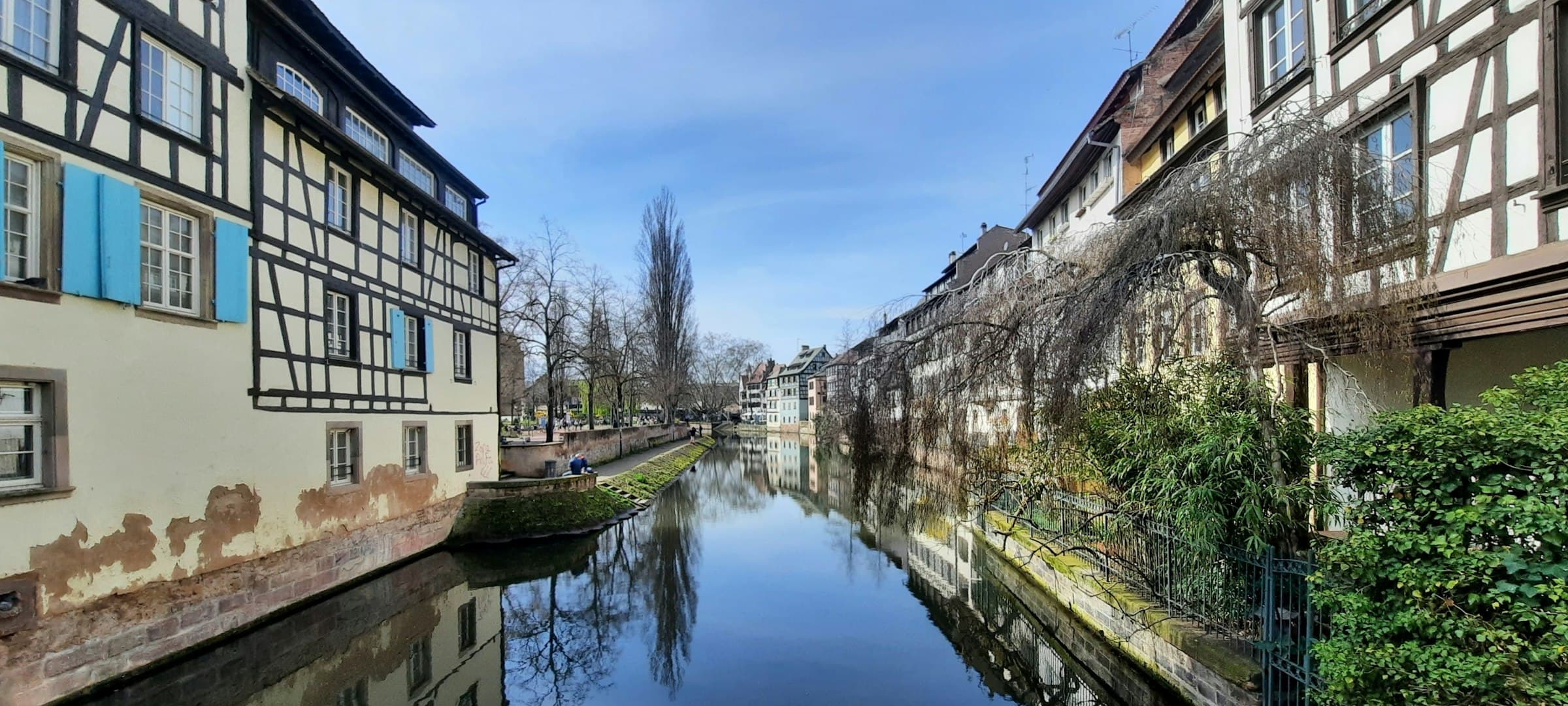 Un canal de Strasbourg bordé de maisons à colombages qui se reflètent dans l’eau calme, arbres nus et ciel bleu de plein jour